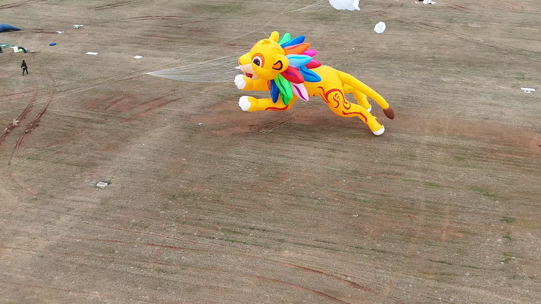 漯河市品牌风筝定制风筝批发 - 价格