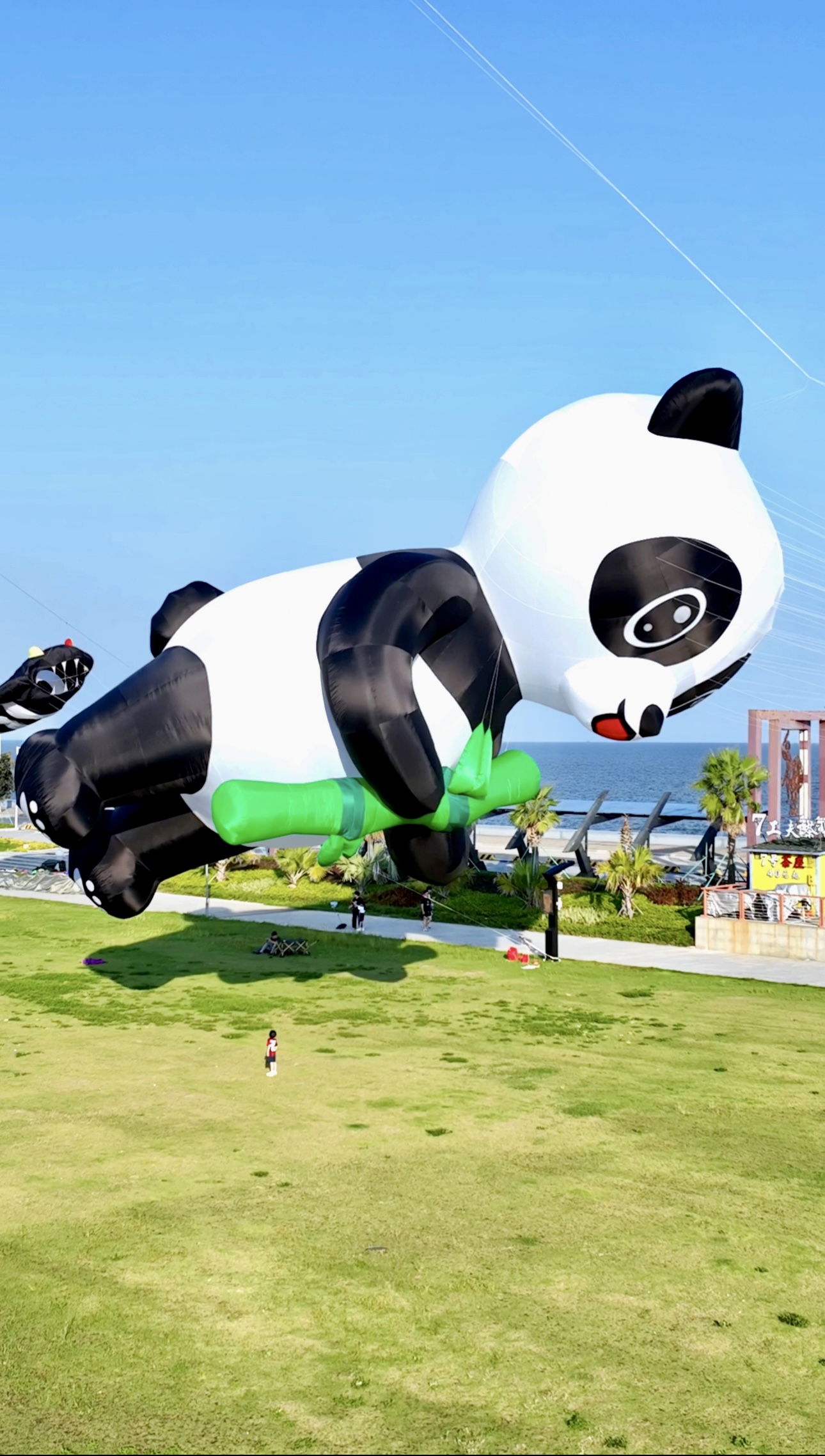 漯河市宣传风筝定制风筝放飞活动策划 - 一站式服务