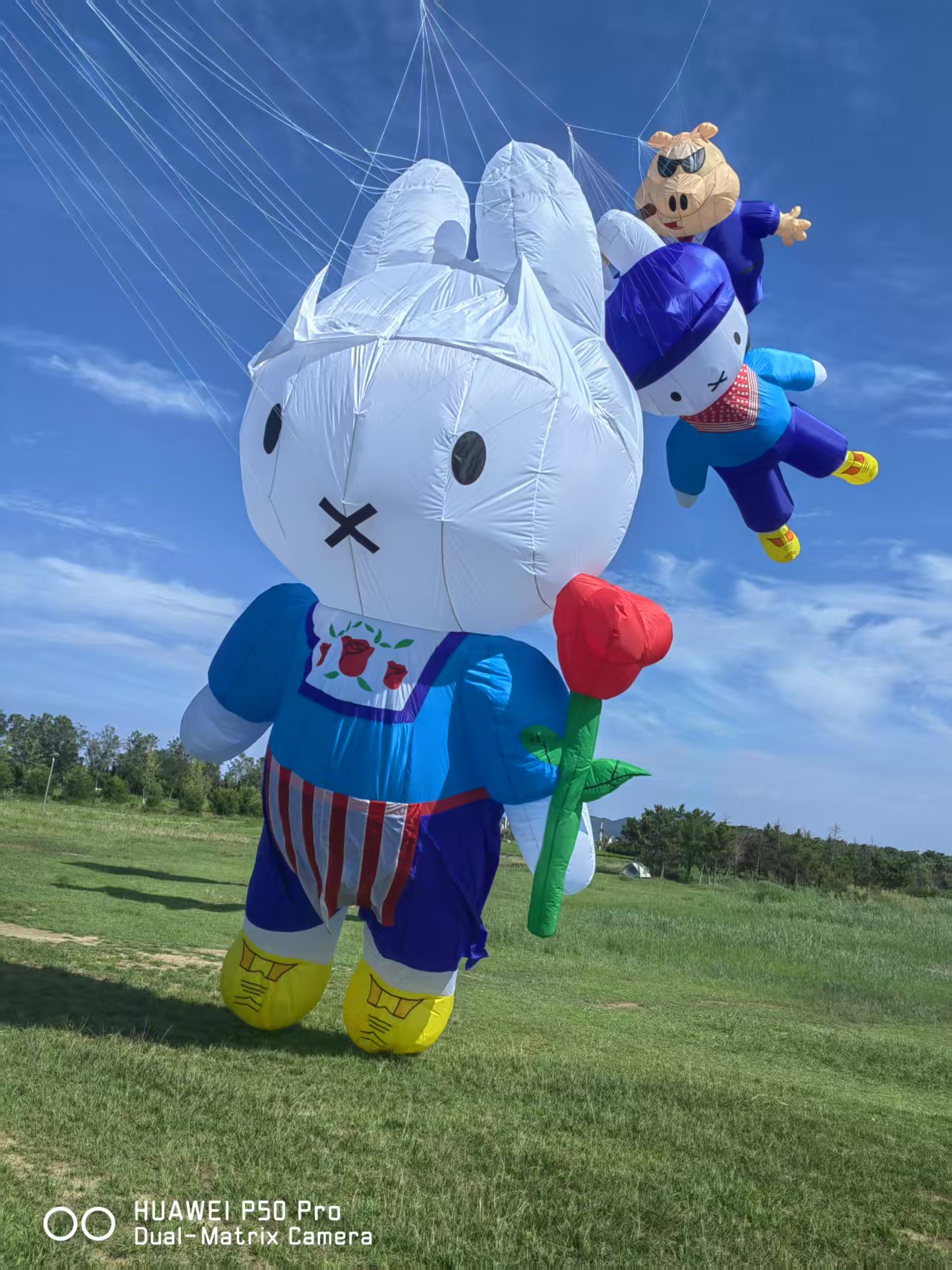 漯河市儿童风筝定制风筝批发 - 厂家