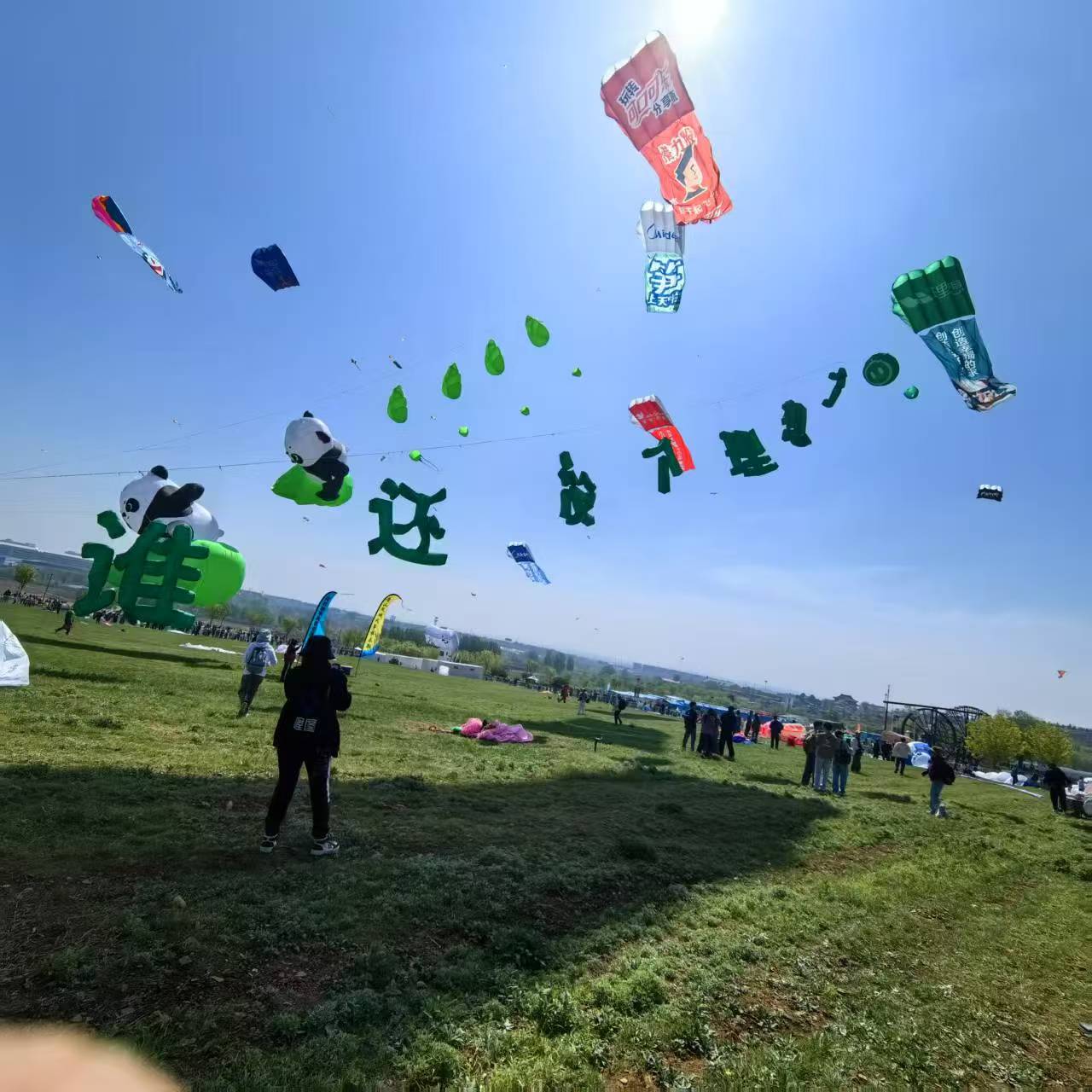 漯河市风筝批发风筝定制 - 价格